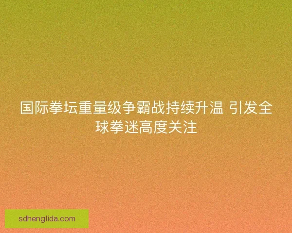 国际拳坛重量级争霸战持续升温 引发全球拳迷高度关注